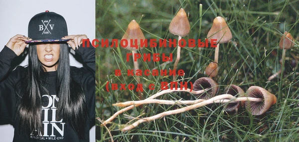 MESCALINE Алзамай