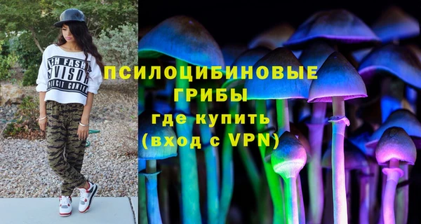 не бодяженный Алексин